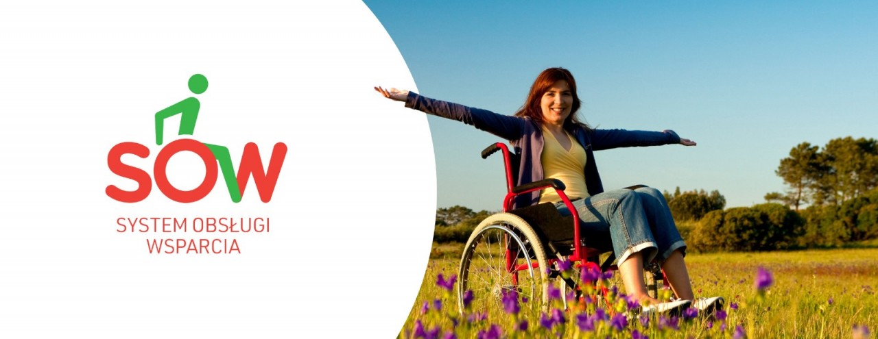 System SOW System SOW