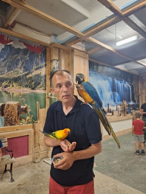 Uczestnik wycieczki z papugami
