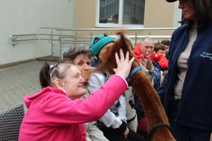 Spotkanie z alpakami