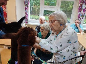 Uczestnicy spotkania z alpakami