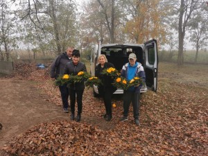 Sprzątanie cmentarza